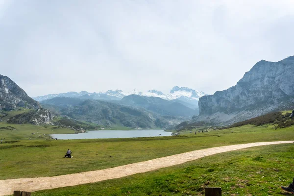 Ścieżka Nad Jeziorem Ercina Jeziorach Covadonga Asturia Hiszpania — Zdjęcie stockowe