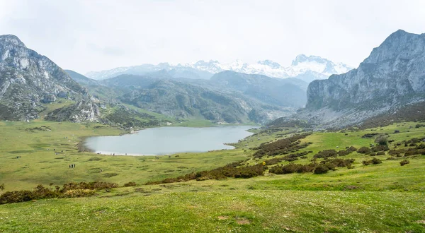 Widok Punktu Widzenia Entrelagos Jeziora Ercina Jeziorach Covadonga Asturia Hiszpania — Zdjęcie stockowe