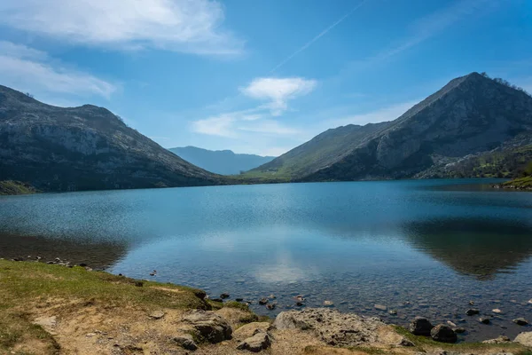 Covadonga Gölü 'ndeki güzel Enol Gölü. Asturyalar. İspanya