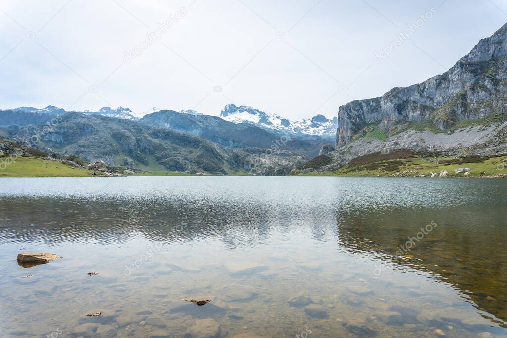 Detail of Lake Ercina in the Lakes of Covadonga. Asturias. Spain