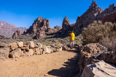 Tenerife, Kanarya Adaları 'ndaki Teide' nin doğal bölgesinde Roques de Gracia ve Roque Cinchado 'nun yanında yürüyen bir turist.