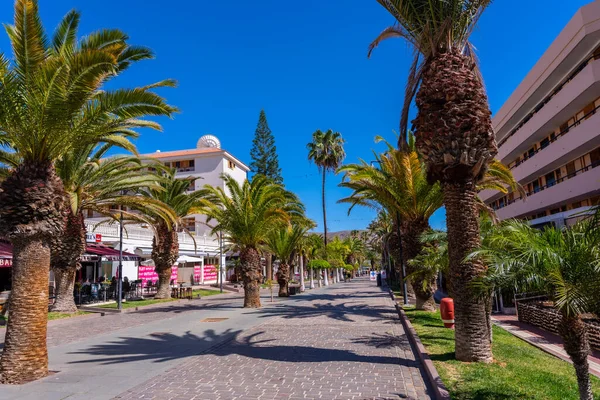 Tenerife 'nin güneyindeki Los Cristianos, Kanarya Adaları' nda palmiye ağaçları ile gezinti