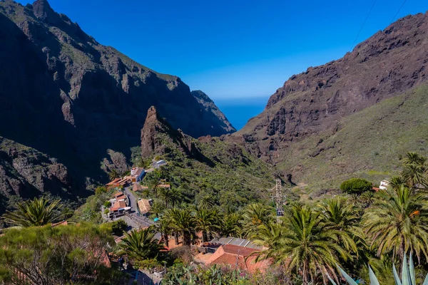 Güzel Masca Tenerife Nin Kuzeyindeki Dağ Belediyesi Kanarya Adaları — Stok fotoğraf