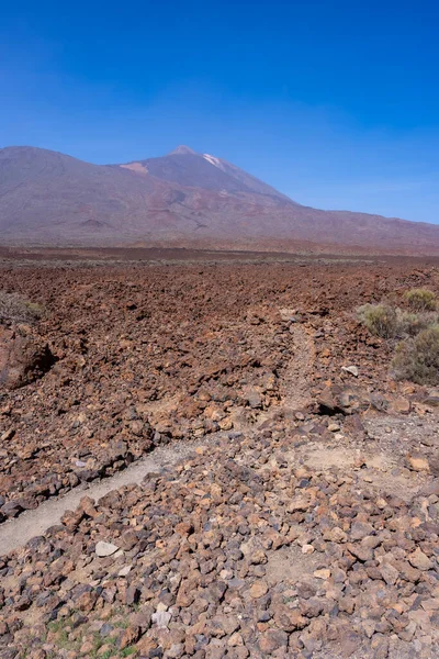 Path Begins Boca Tauce Viewpoint Teide Natural Park Tenerife Canary — 스톡 사진