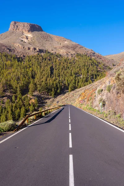 Downhill Road Teide Natural Park Tenerife Canary Islands — Foto de Stock