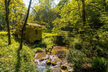 Incredible natural views in the Pagoeta park in Aia, Guipuzcoa. Basque Country