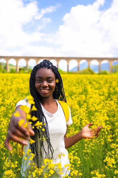 Smiling Nature Girl Black Ethnicity Braids Traveler Field Yellow Flowers — Photo