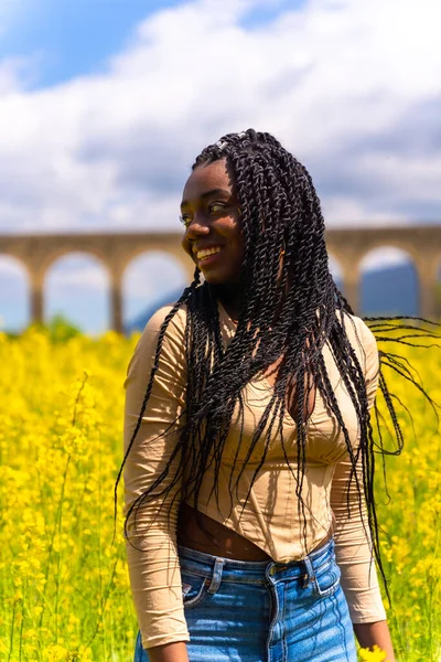 Lifestyle Moving Hair Portrait Black Ethnic Girl Braids Traveler Field — Φωτογραφία Αρχείου