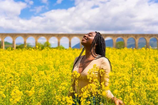 Lifestyle Nature Freedom Portrait Girl Black Ethnicity Braids Field Yellow — Photo