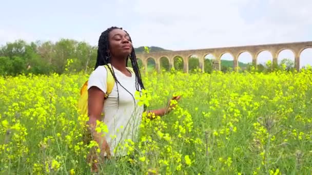 Lifestyle Enjoying Nature Freedom Portrait Black Ethnic Girl Braids Field — Vídeo de Stock