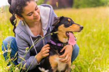 Portrait of a cute dog with an open mouth and tongue sitting on a sunny spring day in a flower meadow, being caressed by the owner