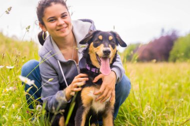 Güneşli bir bahar günü çayırda oturan sevimli bir köpekle genç bir kızın portresi. Yavru köpek Colie, Pitbul ve boksörü karıştırıyor.