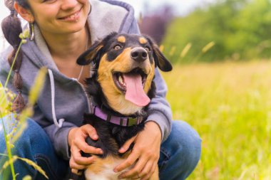 Portrait of a young girl with a cute dog sitting on a sunny spring day in a flower meadow, puppy dog mix deborder colie, pitbul and boxer