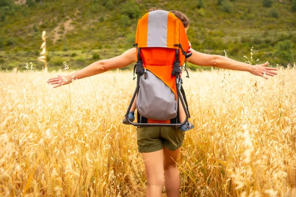 A woman with her son in the backpack in a field of yellow wheat grain ready for harvest
