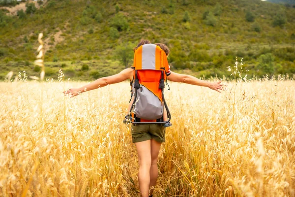 Woman Her Son Backpack Field Yellow Wheat Grain Ready Harvest — Stockfoto