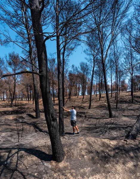 A young man in a forest burned in a forest fire, climate change, drought summer