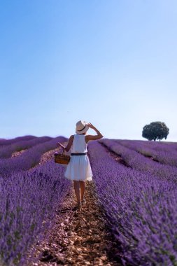 A woman in a white dress in a summer lavender field with a hat, Brihuega. Guadalajara