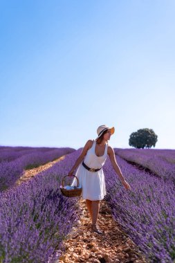 Lifestyle, a woman in a summer lavender field picking flowers