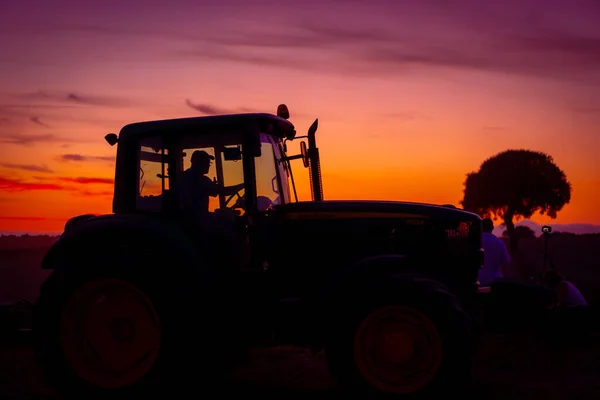 Harvester Cutting Crop Sunset Lavender Field Nature Photography — Foto de Stock