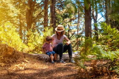 A mother with her son sitting on a tree in nature next to pine trees at sunset