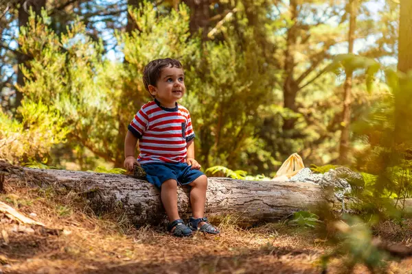 Portrait Boy Sitting Tree Nature Next Pine Trees Smiling Madeira — Photo