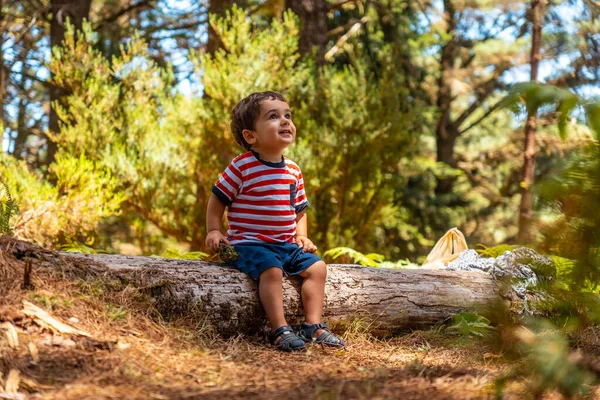 Portrait Boy Sitting Tree Nature Next Pine Trees Autumn Madeira — Photo