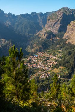 Vegetation from the Eira do Serrado viewpoint, Curral das Freiras, Madeira. Portugal