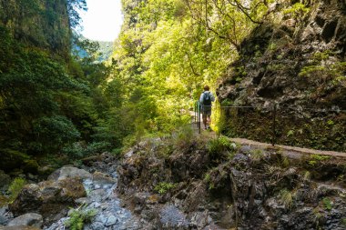 Trekking path next to the waterfall in the Levada do Caldeirao Verde, Queimadas, Madeira