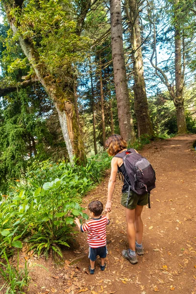 Mother Her Son Forest Path Summer Levada Caldeirao Verde Queimadas — Zdjęcie stockowe