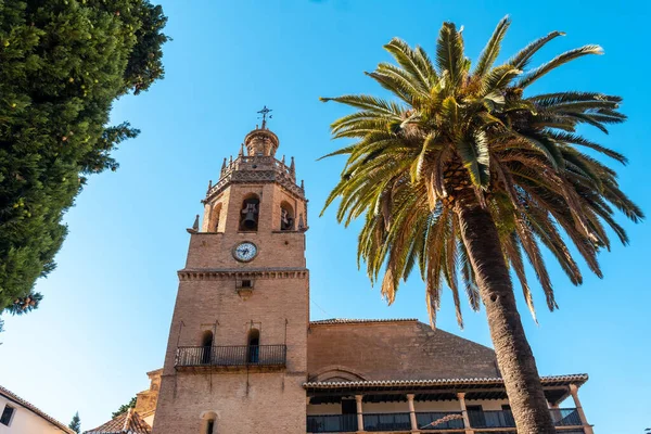 Palmeras Junto Iglesia Santa Maria Mayor Centro Histórico Ronda Málaga — Foto de Stock
