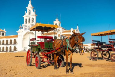 Rocio Tapınağı 'ndaki Rocio festivalinde at arabaları. Huelva. Endülüs