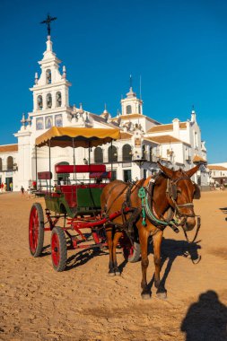 Rocio Tapınağı 'ndaki Rocio festivalinde kahverengi bir atla at arabası. Huelva. Endülüs