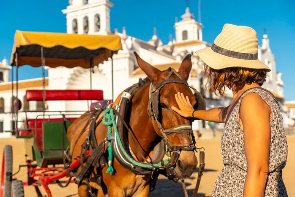 Turysta Pieszczący Konie Sanktuarium Rocio Festiwalu Rocio Huelva Andaluzja — Zdjęcie stockowe
