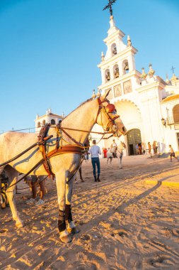 Rocio festivalinde gün batımında atlı arabalar Rocio tapınağında, Huelva