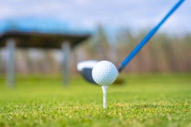 Golf sopası topa vurmaya hazırlanıyor. Golf oynamak