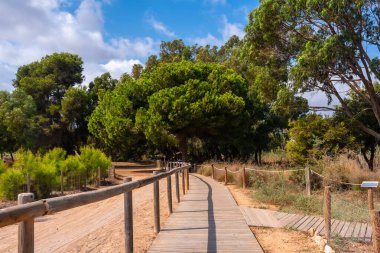 Torrevieja, Alicante 'deki Lagunas de la Mata Doğal Parkı' nda tahta yol.