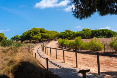Torrevieja, Alicante 'deki Lagunas de la Mata Doğal Parkı' nın güzel yolu