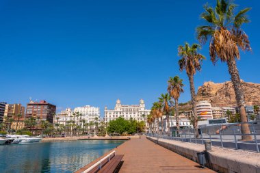 Alicante şehri. Limanda tatildeki bir sürü güzel tekne var.