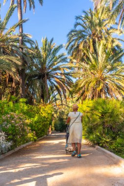 Torunuyla birlikte Alicante şehrindeki El Palmeral parkındaki palmiye ağaçlarının yanındaki köprüde yürüyoruz.