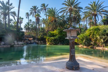 Alicante şehrindeki El Palmeral parkındaki palmiye ağaçlarının manzarası