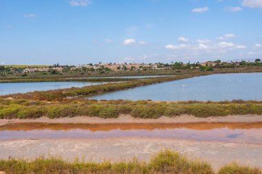 Salinas de Santa Pola Gözlemevi, Flamingoların genellikle yediği tuz göletleri.
