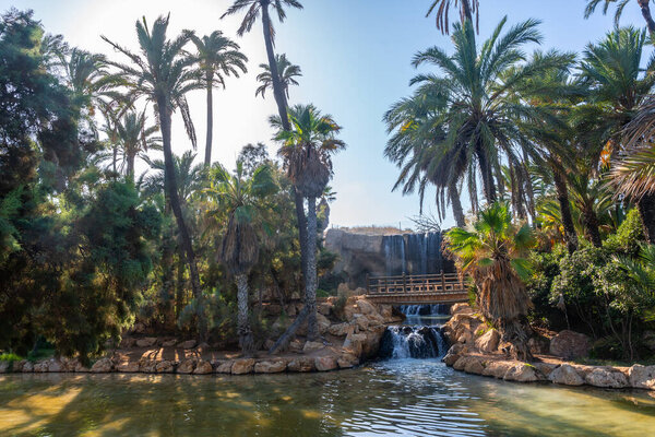 Beautiful lakes, ponds and wooden bridges in the El Palmeral park in the city of Alicante