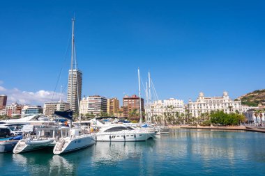 Alicante şehri. Limanda tatildeki bir sürü güzel tekne var.