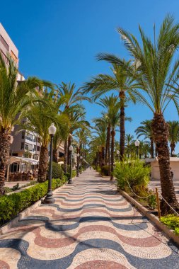 Alicante şehri. Sahilde güzel palmiye ağaçları olan dalgalar.