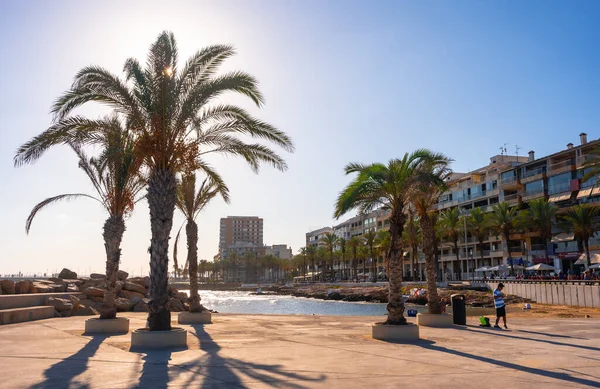 Coucher Soleil Avec Palmiers Sur Plage Cura Torrevieja Alicante — Photo