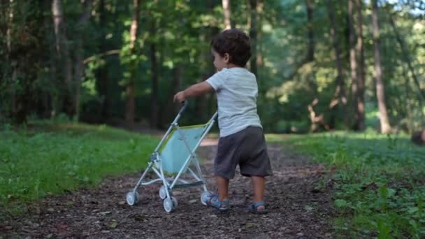 赤ちゃんのカートを押して公園で遊んでいる子供 おもちゃの車を押している1歳の男の子 — ストック動画