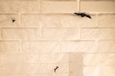 Örümcek ağı, örümcek ağı ve şöminenin üstünde bir yarasa. Cadılar Bayramı konsepti Seçici odaklanma. Tatil kartı