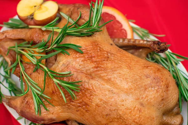 Weihnachts- oder Thanksgiving-Ente gebacken für das traditionelle Festessen mit Äpfeln, Rosmarin, Grapefruits auf rotem Weihnachtstisch aus nächster Nähe. Selektiver Fokus — Stockfoto