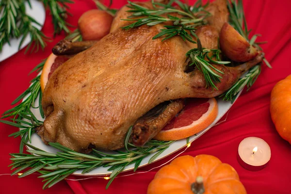 Pato de Navidad o Acción de Gracias horneado para la tradicional cena festiva con manzanas, romero, pomelos en la mesa roja de Navidad decorada con calabazas y velas. Enfoque selectivo — Foto de Stock