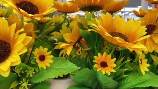 Bright sunflowers close up. Beauty nature, summertime, holidays concept. — Stockvideo